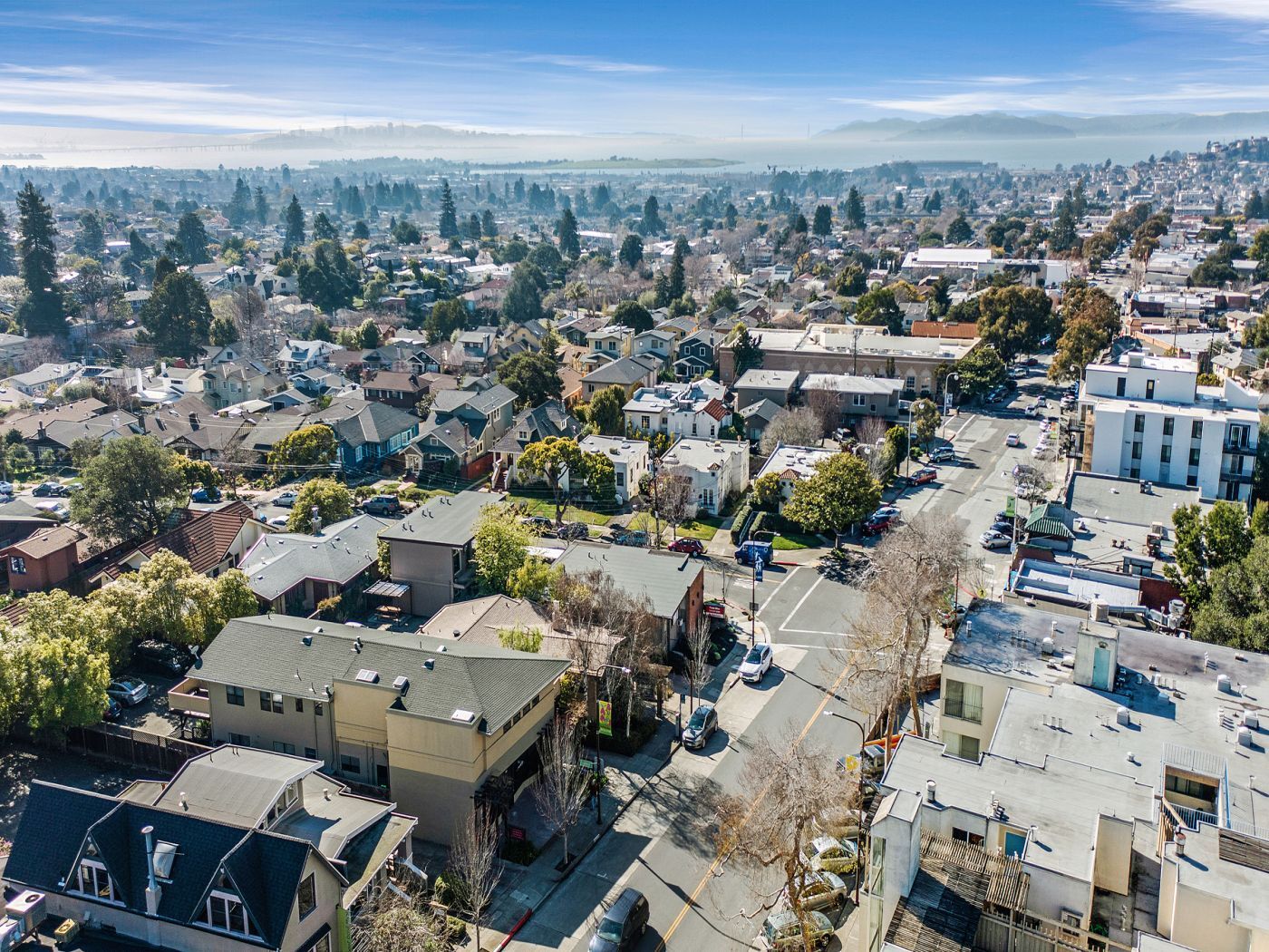 Unlocking Real Estate Excellence: The Best Realtors in Berkeley, California